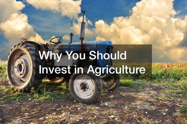 Why You Should Invest in Agriculture