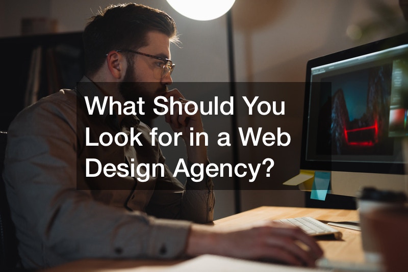 What Should You Look for in a Web Design Agency?