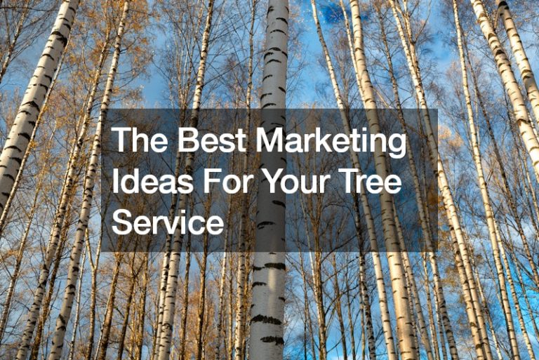 The Best Marketing Ideas For Your Tree Service