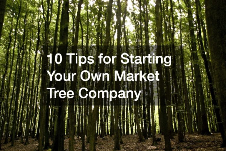 10 Tips for Starting Your Own Market Tree Company