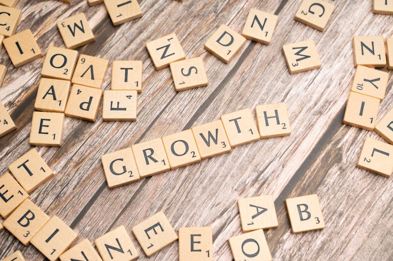 How to Be a Successful Entrepreneur by Developing a Growth Mindset